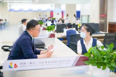 光谷率先設立全國首個低空經濟服務窗口，提供專業經濟信息咨詢