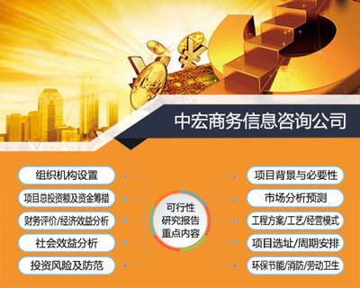 貴陽單位編制可行性研究報告的規范要求與經濟信息咨詢的角色分析